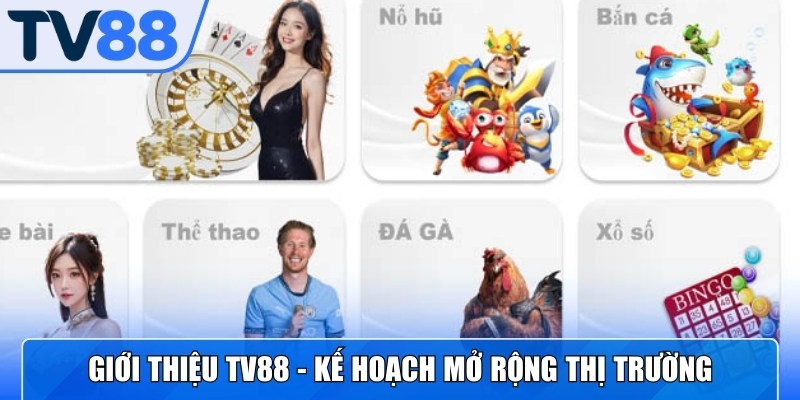 Giới thiệu TV88 về kế hoạch xây dựng và mở rộng thị trường